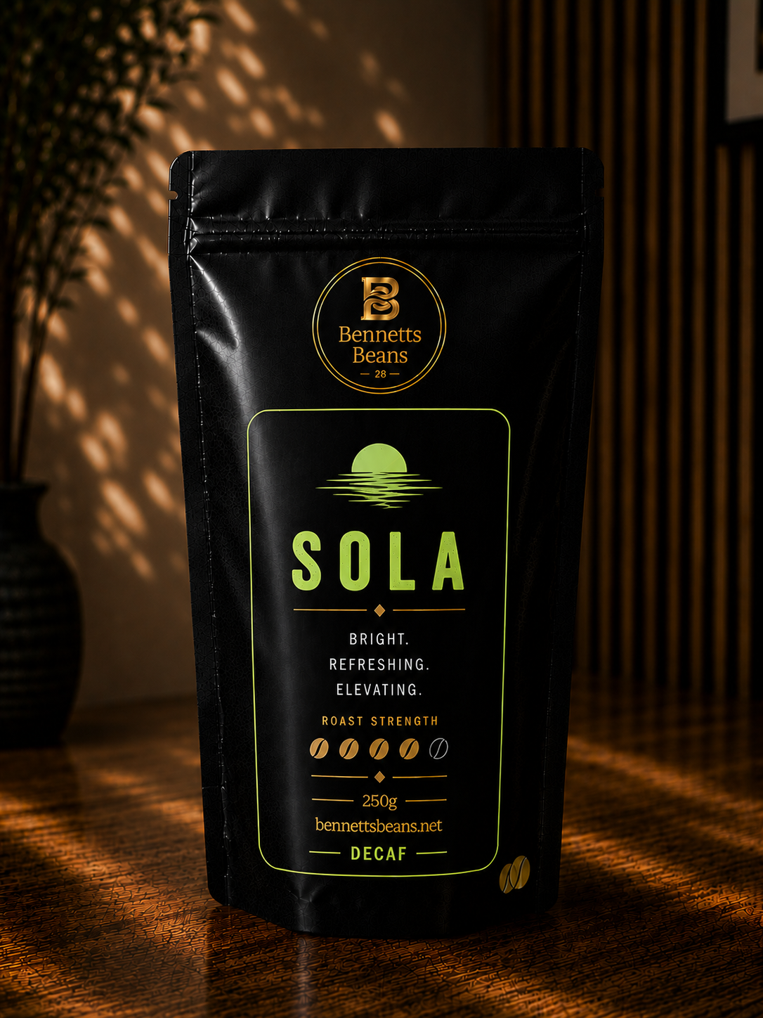 SOLA